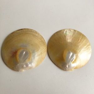 2 Natural Abalone Mother of Pearl Plates Palette M